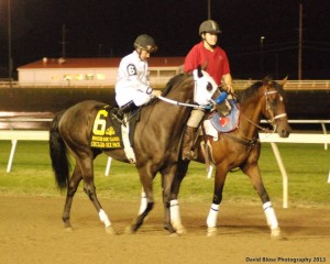 Chilled Six Pack pony track pic